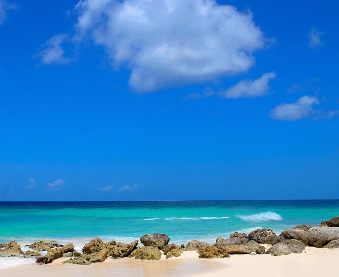 Dover Beach Hotel كرايست تشيرش المظهر الخارجي الصورة